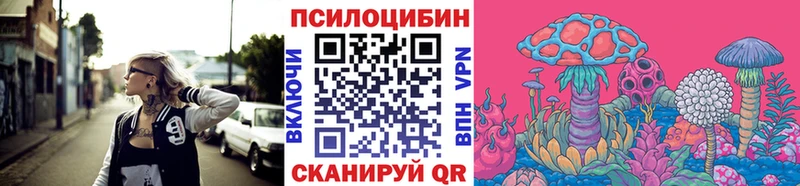 Псилоцибиновые грибы мицелий  Купить  Благодарный 